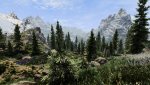 SkyrimSE_2020_07_07_23_50_10_812.jpg