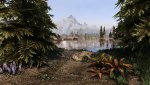 SkyrimSE_2020_02_18_00_06_27_640.jpg