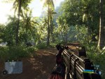 Crysis (Master-Details).JPG