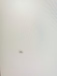 IMG_20200728_173938.jpg