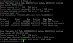 Debian fdisk.PNG