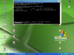 screen06.jpg