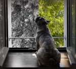 Unbenannt-4 - Kopie.JPG