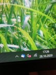 IMG_20201028_172627.jpg
