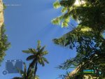 Crysis (Modified Ultra-High Details) 10.JPG