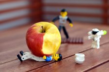 Schwerkraft (10-2) 2248x1500.JPG Schwerkraft (10-2) 2248x1500.JPG