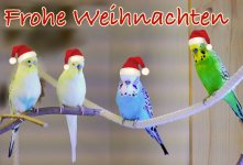 Frohe Weihnachten für alle.JPG