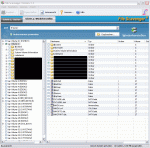 FileScavengerScan.gif