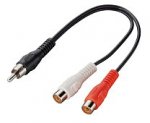 Chinchadapter.jpg