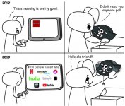 Streaming Services Pirate Meme.jpg