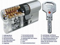 bks janus 46.jpg