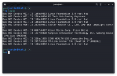 lsusb.png