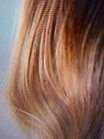 IMG_2204.png