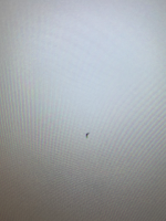 IMG_2205.png