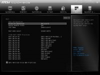 MSI_SnapShot_001_002.jpg