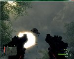 Crysis Bug.jpg