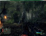 Crysis Bug2.jpg
