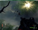 Crysis Bug3.jpg