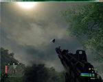 Crysis Bug4.jpg