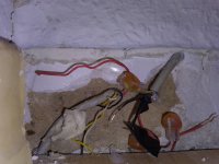 IMG_20210220_093638.jpg