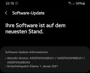 A50 - Softwarestand.jpg