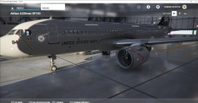 Microsoft_Flight_Simulator_22.03.2021_00_17_43.png