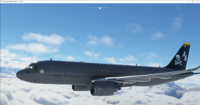Microsoft_Flight_Simulator_22.03.2021_01_07_31.png