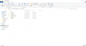 Lokaler Datenträger (C_) 29.03.2021 00_36_12.png