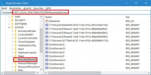 Registry - Laufwerke - Mounted Devices.jpg