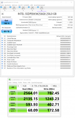 INTEL SSDPEKKW256G8 256,0 GB.png