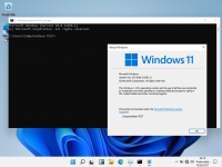 VirtualBox_Windows 11 TEST_16_06_2021_13_10_44.png