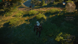 The Witcher 3 16.07.2021 16_11_46.png