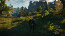 The Witcher 3 16.07.2021 16_11_53.png