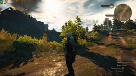 The Witcher 3 16.07.2021 16_23_05.png