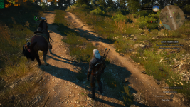 The Witcher 3 16.07.2021 16_47_24.png