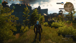 The Witcher 3 16.07.2021 17_34_24.png