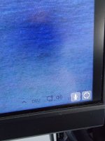 WhatsApp Image 2021-07-17 at 13.19.50.jpeg