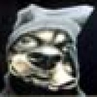Doggi