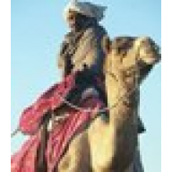 cameldriver