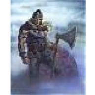 Wikinger001®