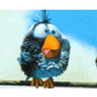 Matrix_666