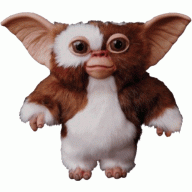 Gizmo0815