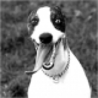 NUMA