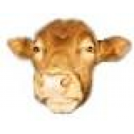 Karlfred
