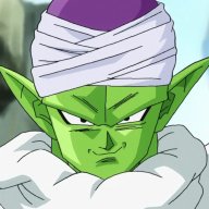 piccolo85