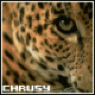 chrusy