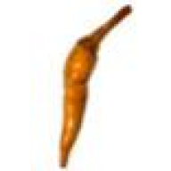 Pelto