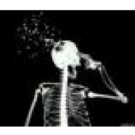 dicv81