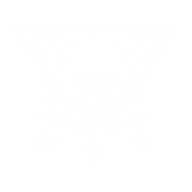 Gamefaq