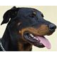 Oxmo